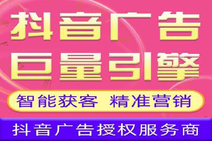 百度竞价广告投放策略：案例分析及效果评估